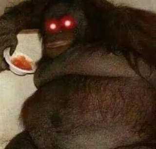 😈 fa3a8c03 オランウータン, 類人猿, 動物, 霊長類, 哺乳類, 野生動物 telegram sticker