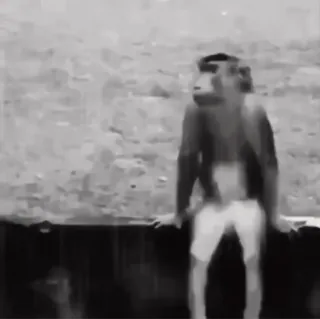 🌟 583ea3d8 khỉ, động vật, động vật hoang dã, linh trưởng, vượn người, đang ngồi telegram sticker