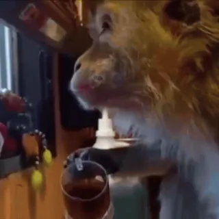 🌟 c9be0bbe khỉ, động vật, uống, ly, meme, hài hước telegram sticker