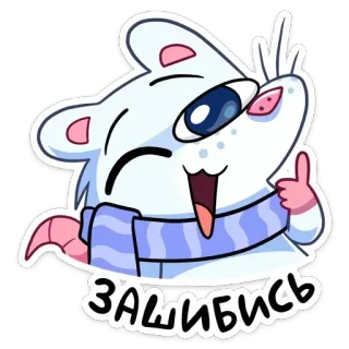 🔹 875f8daa ЗАШИБИСЬ rato, cachecol, desenho animado, fofo, animal, engraçado whatsapp sticker