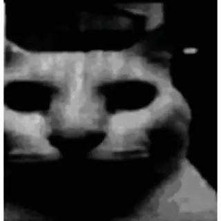 💀 406c5f89 猫, 恐怖, 黑暗, 表情包, 恐怖 telegram sticker