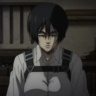 🍥 16246a0a Mikasa Ackerman Attack on Titan Anime, Mikasa, Ataque a los Titanes, AOT, Personaje, Soldado whatsapp sticker