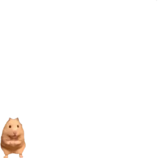😶 441d89e0 hamster, animal, roedor, fofo, meme, engraçado whatsapp sticker