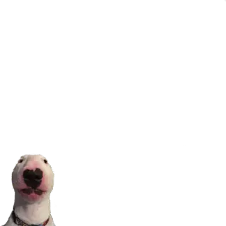 😶 453d0eb5 whatsapp sticker