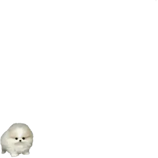 😶 5a770857 whatsapp sticker