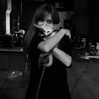 × Asli @jisyu × telegram stickers