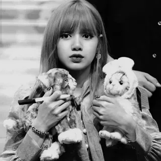 🏔 a8eb8ed2 Lisa K-pop, Blackpink, zanger, beroemdheid, idool, knuffel, portret telegram sticker