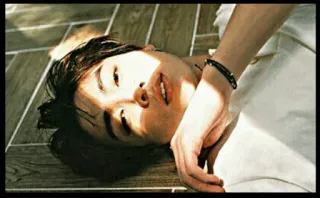 🎼 97b8e948 telegram sticker