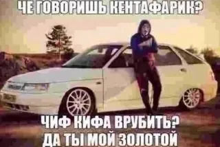 🤗 17edf56d ЧЕ ГОВОРИШЬ КЕНТАФАРИК?
ЧИФ КИФА ВРУБИТЬ?
ДА ТЫ МОЙ ЗОЛОТОЙ 汽车, 俄语, 文本, 车辆, 表情包 whatsapp sticker