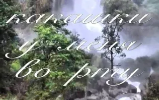 💩 1a8d06c9 какашки у меня во рту whatsapp sticker