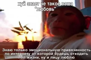 🤫 28f838f4 хуй знает че такое ваша
"любовь"
Знаю только эмоциональную привязанность
по интернету от которой будешь отходить
пол жизни, ну и пицу люблю 猴子, 俄语, 表情包, 文字, 幽默 whatsapp sticker