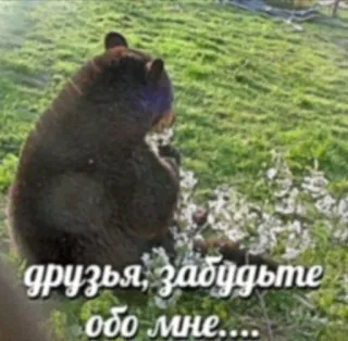 🧸 9418c19e друзья, забудьте обо мне... 熊, 悲伤, 动物, 表情包, 俄语, 文本, 自然 whatsapp sticker