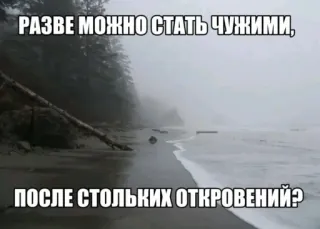 🌊 973c2971 РАЗВЕ МОЖНО СТАТЬ ЧУЖИМИ, ПОСЛЕ СТОЛЬКИХ ОТКРОВЕНИЙ? 海洋, 海滩, 悲伤, 语录, 孤独, 俄语, 风景 whatsapp sticker