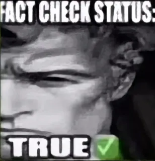 ✅ e3e66bfb FACT CHECK STATUS:
TRUE 事实核查, 真实, 状态, 网络迷因, 确认 whatsapp sticker