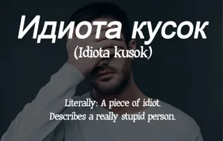 🤑 7dd53671 Идиота кусок (Idiota kusok) insulto, ruso, idiota, imbécil telegram sticker