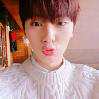 ☘ 04cdc82a telegram sticker