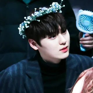 ☘ 2b778330 мужчина, венок из цветов, портрет, корейский, азиатский, фанат, идол telegram sticker