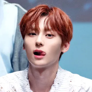 🦊 496ee130 telegram sticker