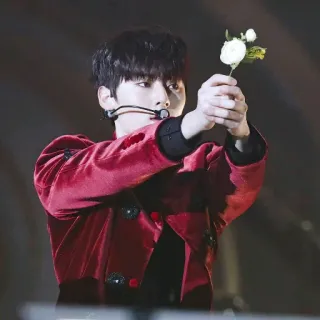 ☘ 4bb526db мужчина, цветок, red velvet, корейский, сцена, выступление telegram sticker