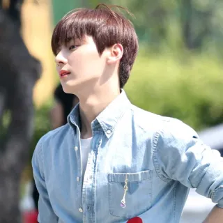 ☘ 51b7178a telegram sticker