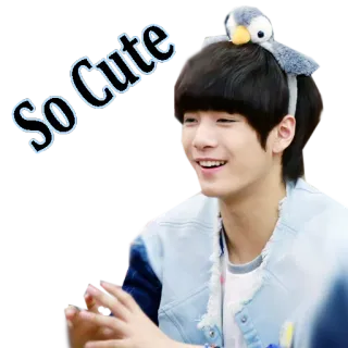 😻 72c5569f So Cute 可爱, 迷人, 快乐, 企鹅, 头带 telegram sticker