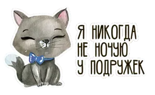 ❤ a6d73b43 Я НИКОГДА
НЕ НОЧУЮ
У ПОДРУЖЕК Katze, Aufkleber, Text, Russisch, Süß, Kätzchen telegram sticker