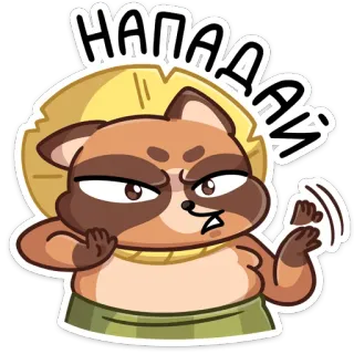 😑 fe832031 НАПАДАЙ 動物, アライグマ, 可愛い, 怒り, 攻撃的, 漫画 telegram sticker