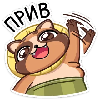👋 b3bcee1a ПРИВ енот, животное, мультфильм, дружелюбный, приветствие, машет, милый telegram sticker