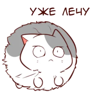 🏃‍♂ 02d95cba УЖЕ ЛЕЧУ gato, desenho animado, voando, animal, fofo telegram sticker