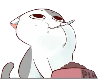 😍 403e4edd PUM Katze, lustig, Meme, Essen, Haustier, Tier whatsapp sticker