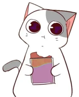 🐈 5713c522 Katze, Tier, Aufkleber, Cartoon, süß, niedlich, Snack, Süßigkeit whatsapp sticker