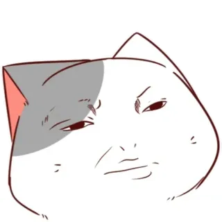 🐈 8f647c35 Katze, Meme, Lustig, Tier, Cartoon, Ausdruck, Süß, Sarkastisch whatsapp sticker