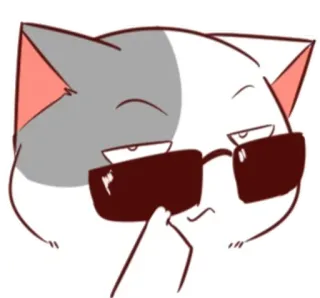 🐈 b47de4c6 Katze, Sonnenbrille, cool, entspannt, Attitüde, Cartoon, Anime whatsapp sticker