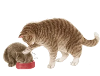 😬 026e430e แมว, ลูกแมว, อาหาร, สัตว์, สัตว์เลี้ยง, น่ารัก telegram sticker