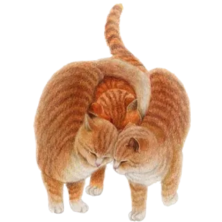 nyangsongi_cat whatsapp stickers