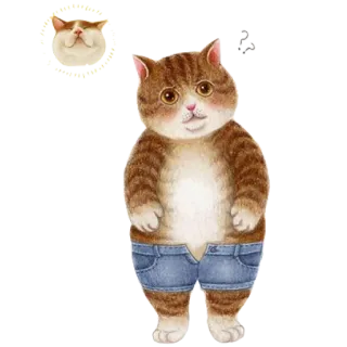 nyangsongi_cat whatsapp stickers