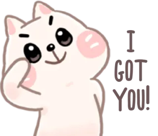 👌 5a333d0e I GOT YOU kot, słodki, naklejka, animacja, rozrywkowy telegram sticker