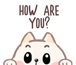 😀 73c71f12 How are you? kot, słodki, naklejka, powitanie, zwierzę telegram sticker