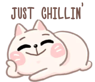 😌 90e6a55d JUST CHILLIN' kot, słodki, wyluzowany, relaksujący, zwierzę domowe, zwierzę, kawaii telegram sticker