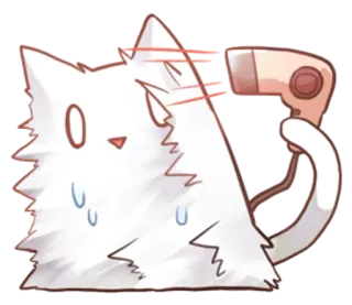 💨 d4e2dc19 Katze, Föhn, Trocknen, niedlich, Tier, weiß, Schweiß, flauschig telegram sticker