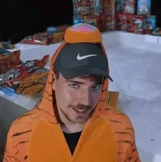 🌟 bf2e8155 MrBeast youtuber, mrbeast, disfraz de tigre, sombreros telegram sticker