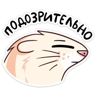 🤔 363cd797 ПОДОЗРИТЕЛЬНО hamster, suspect, mignon, animal telegram sticker