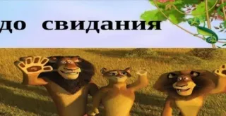 👋 805b5677 до свидания dibujos animados, leones, ola, animales telegram sticker