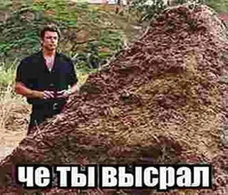 💩 a7fffbe3 ЧЕ ТЫ ВЫСРАЛ hombre, pila, ruso, texto, exterior telegram sticker