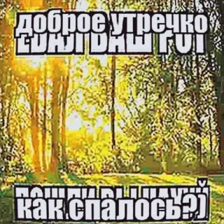💗 d7415f01 доброе утречко ёклмн двш гфг пошли нахуй как спалось? ruso, texto, naturaleza, bosque, mañana, ofensivo telegram sticker