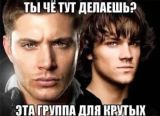 🤷‍♂️ ee3e8f81 ТЫ ЧЁ ТУТ ДЕЛАЕШЬ? ЭТА ГРУППА ДЛЯ КРУТЫХ sobrenatural, dean winchester, sam winchester, serie tv, hermanos, meme telegram sticker