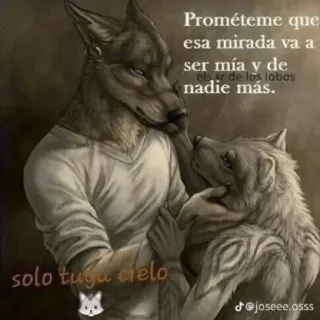 💝 74e4b325 Prométeme que esa mirada va a ser mía y de els sr de los lobos nadie más. solo tugu cielo serigala, cinta, furry, romantis, binatang whatsapp sticker