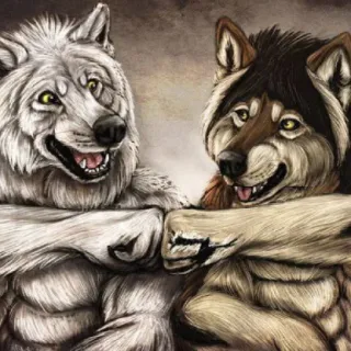 🏳️‍🌈 bb979d8d serigala, binatang, antropomorfik, tosan, persahabatan whatsapp sticker