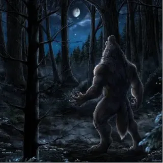 🎶 d2960d2c manusia serigala, hutan, monster, melolong, bulan whatsapp sticker