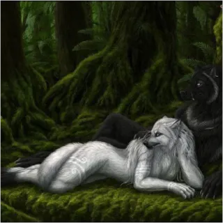 🔞 d4b15ff5 serigala, anthro, hutan, beruang, fantasi, binatang whatsapp sticker